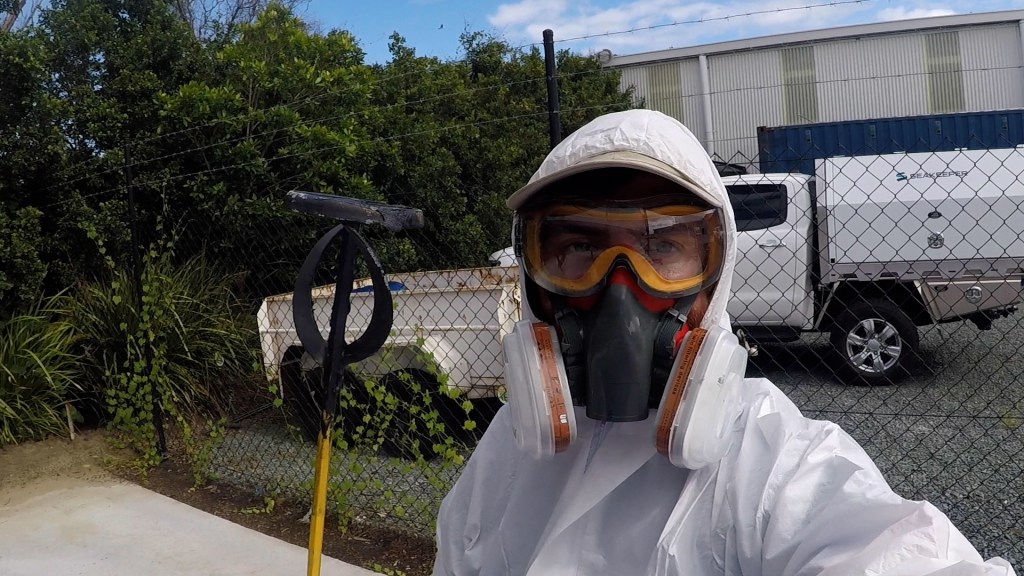 French Kiss Hauled&nbsp;Out